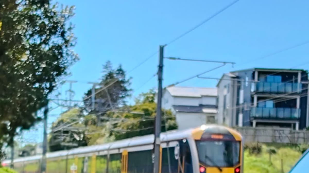 The incident at the Mt Lebanon Lane rail crossing, which occurred near the Sturges Rd train station, was reported to police