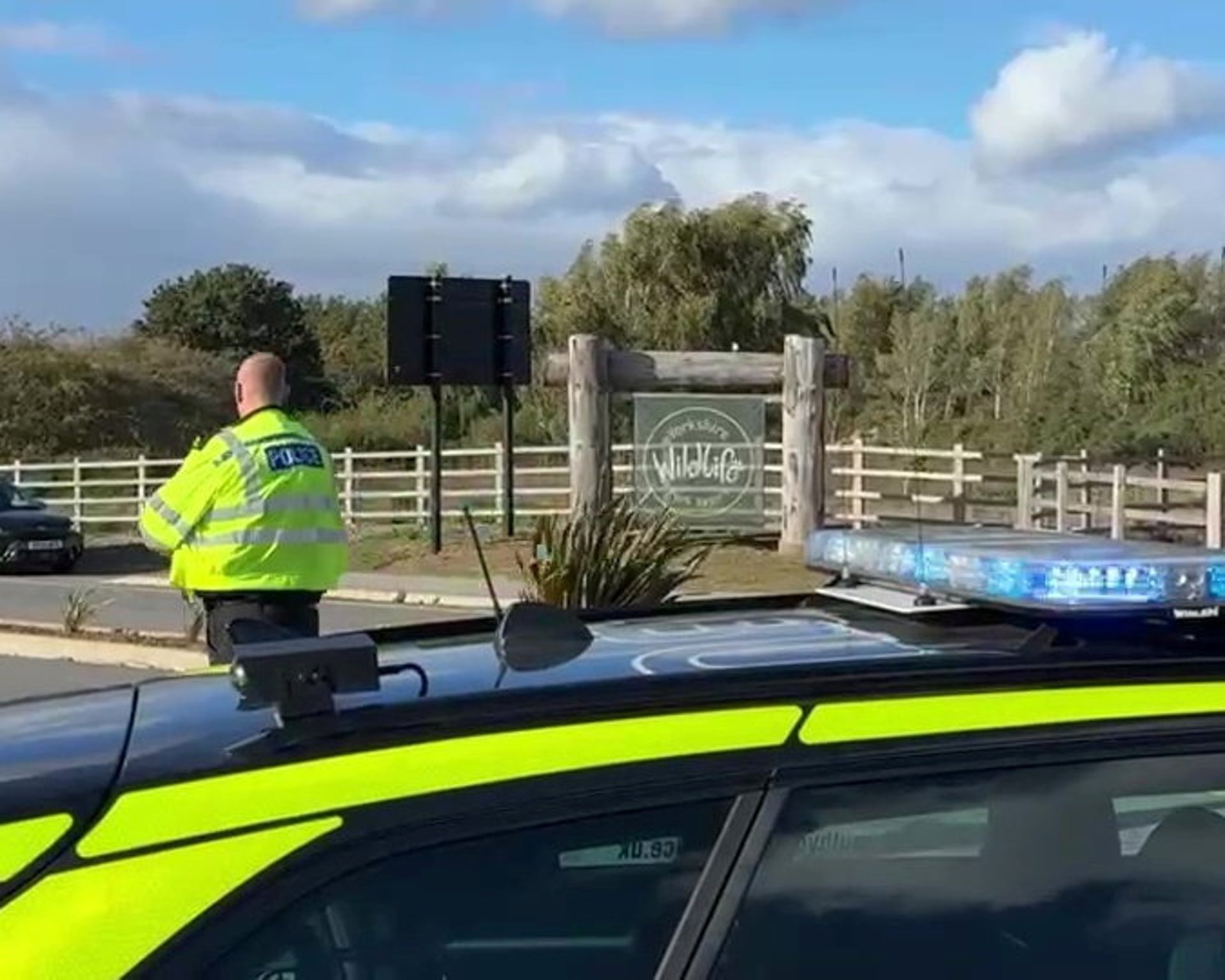 Man Dies After Tiger Attack at Yorkshire Wildlife Park