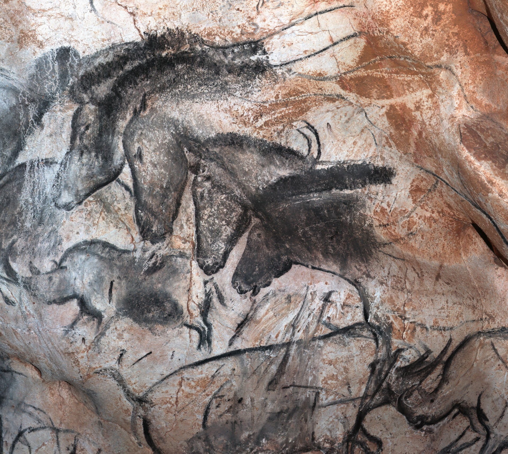 Chauvet Cave Researchers Find Calcite Layer Protecting Ancient Art with Fluorescence