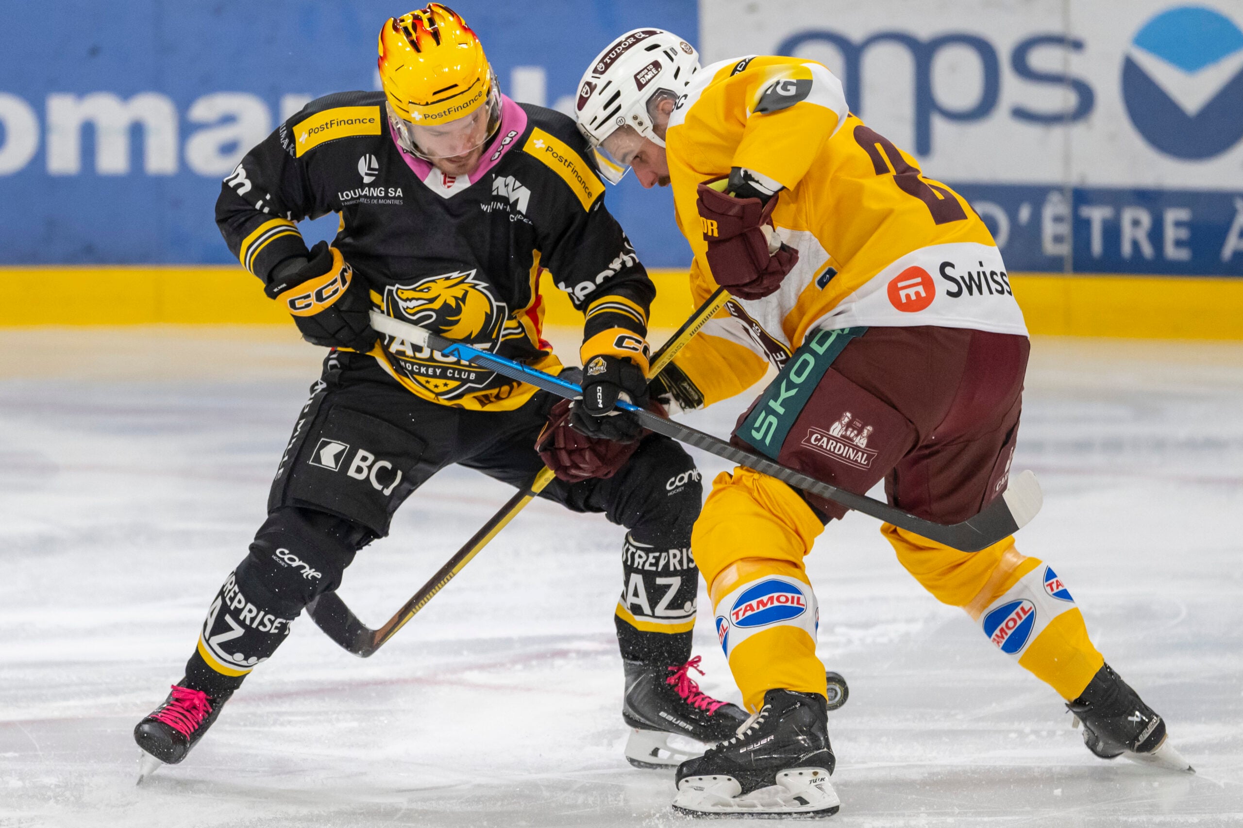 HC Ajoie Shuts Out Genève-Servette 5-0 to Reach 22-Point Milestone