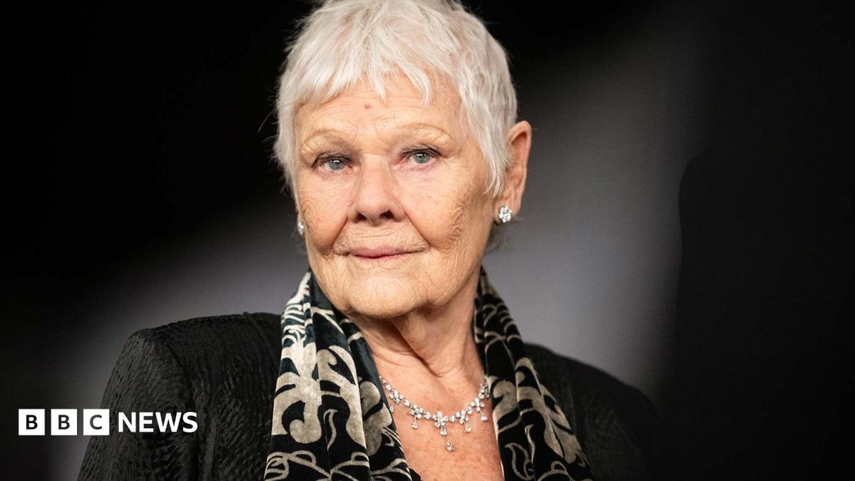 Dame Judi Dench Unable to Act or Read Due to Advancing Eye Condition