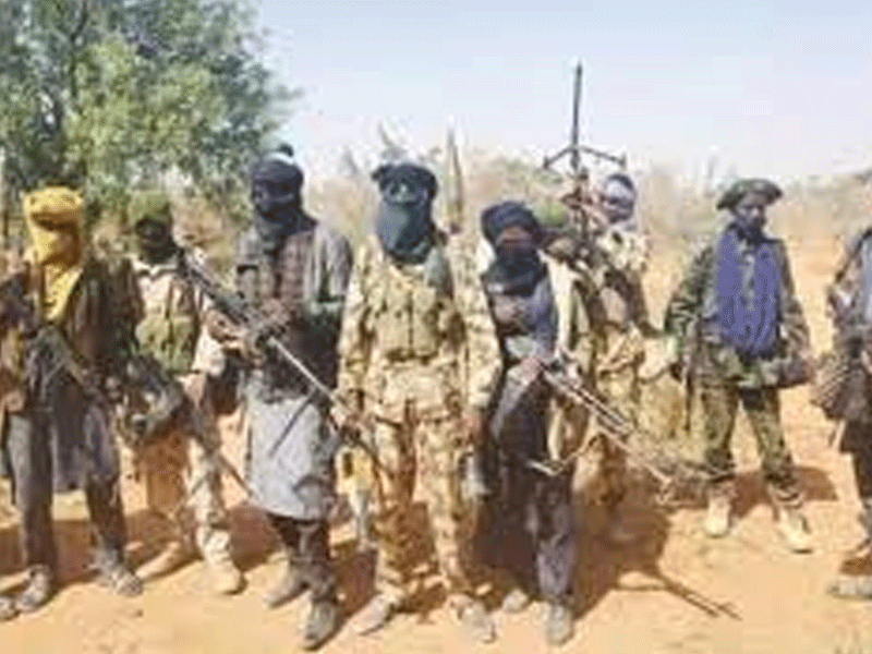Nigeria Binnari Massacre Leaves Dozens Dead and Many Missing