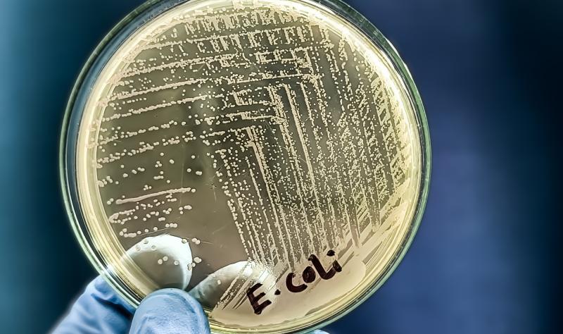 ExPEC9V Vaccine Development Halted After Phase III Trial Failure