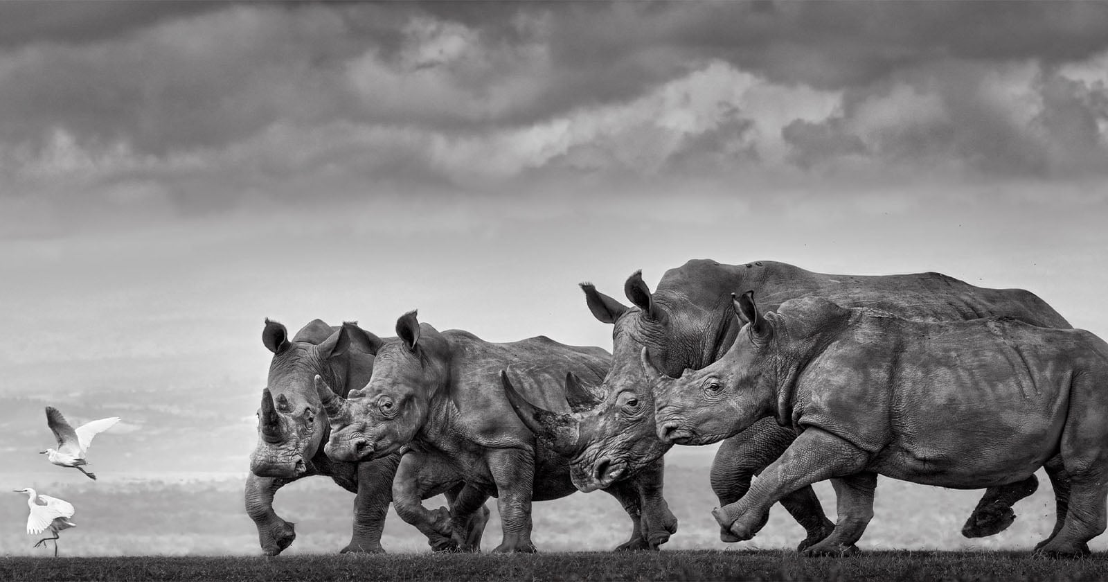 Daniel Viñé Garcia Wins Epson Pano Awards With Volcano Photo