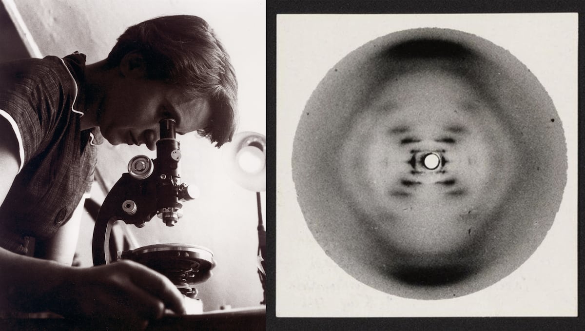 Study: Rosalind Franklin Calculated DNA Helix Before Capturing Photo 51