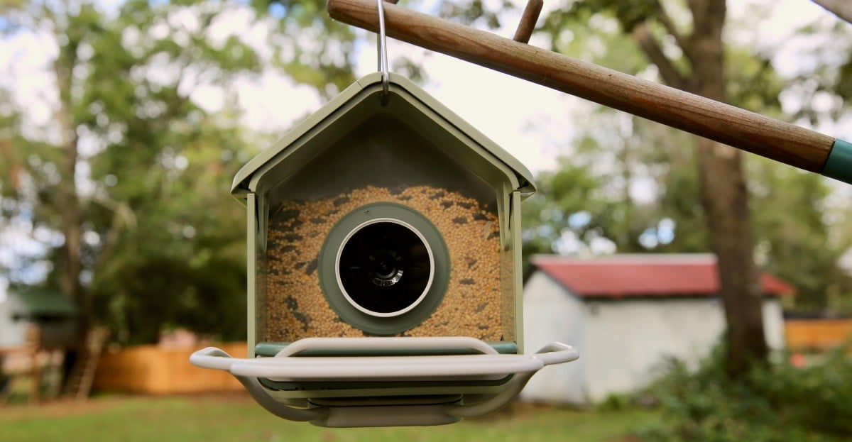 Birdbuddy Nook LR6B6206 (1)