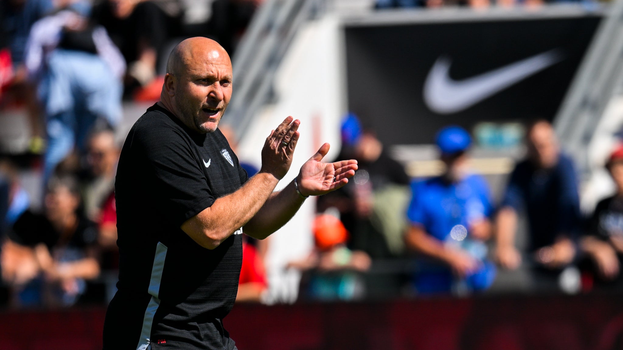 RC Toulon: Pierre Mignoni leaves, Franck Azéma takes over, says the club