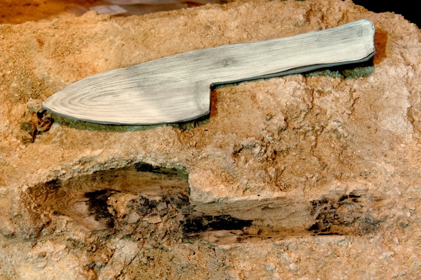 Neanderthal Woodworking Confirmed by Abric Romaní Wooden Artifacts