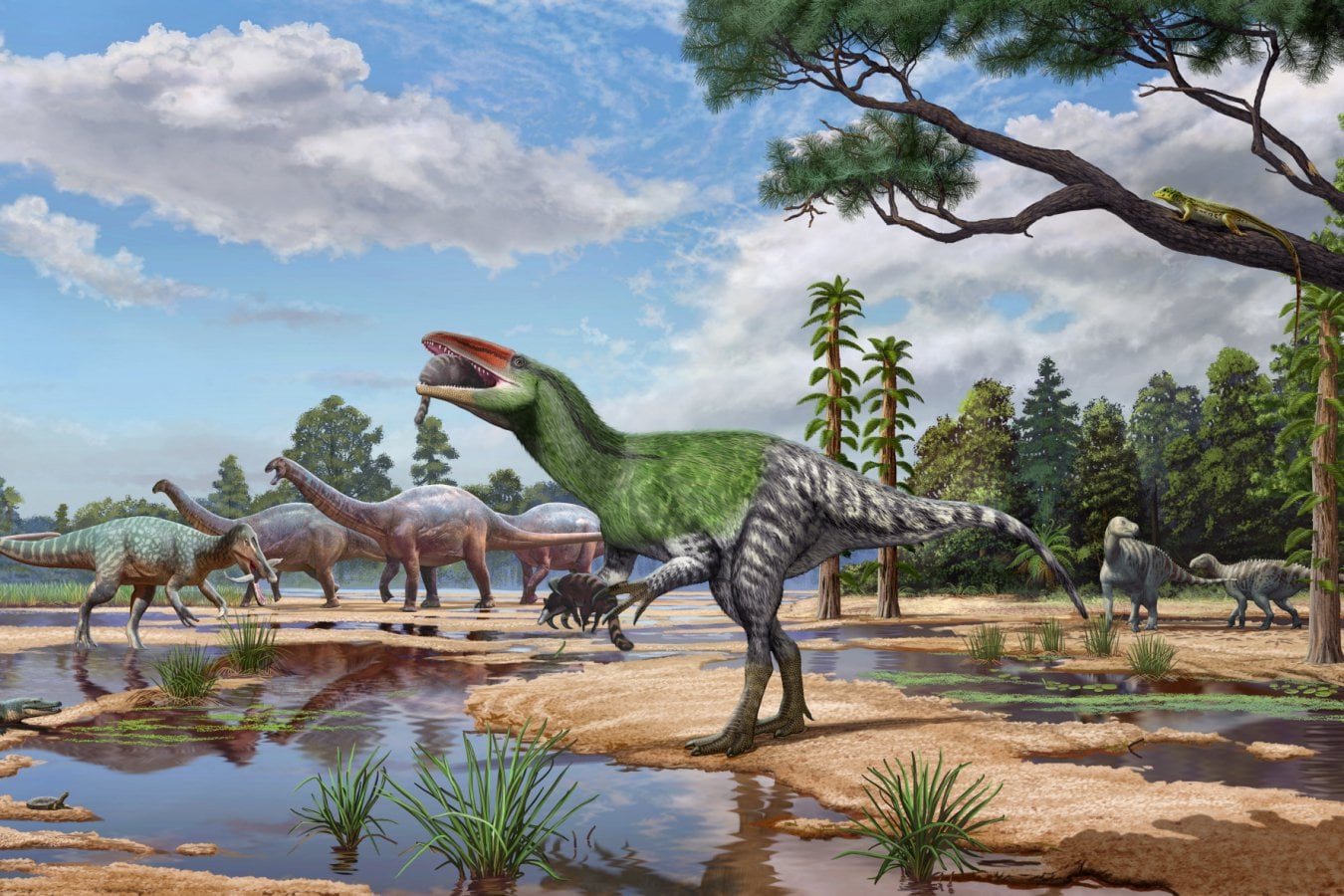 Researchers Identify New Dinosaur Species From Century-Old Fossil