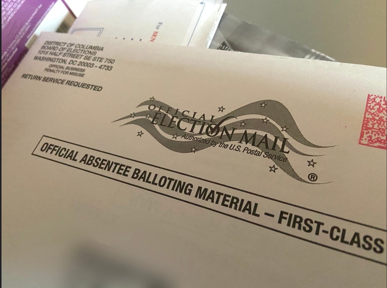Judge Thomas Schroeder Upholds North Carolina Mail Ballot Rules
