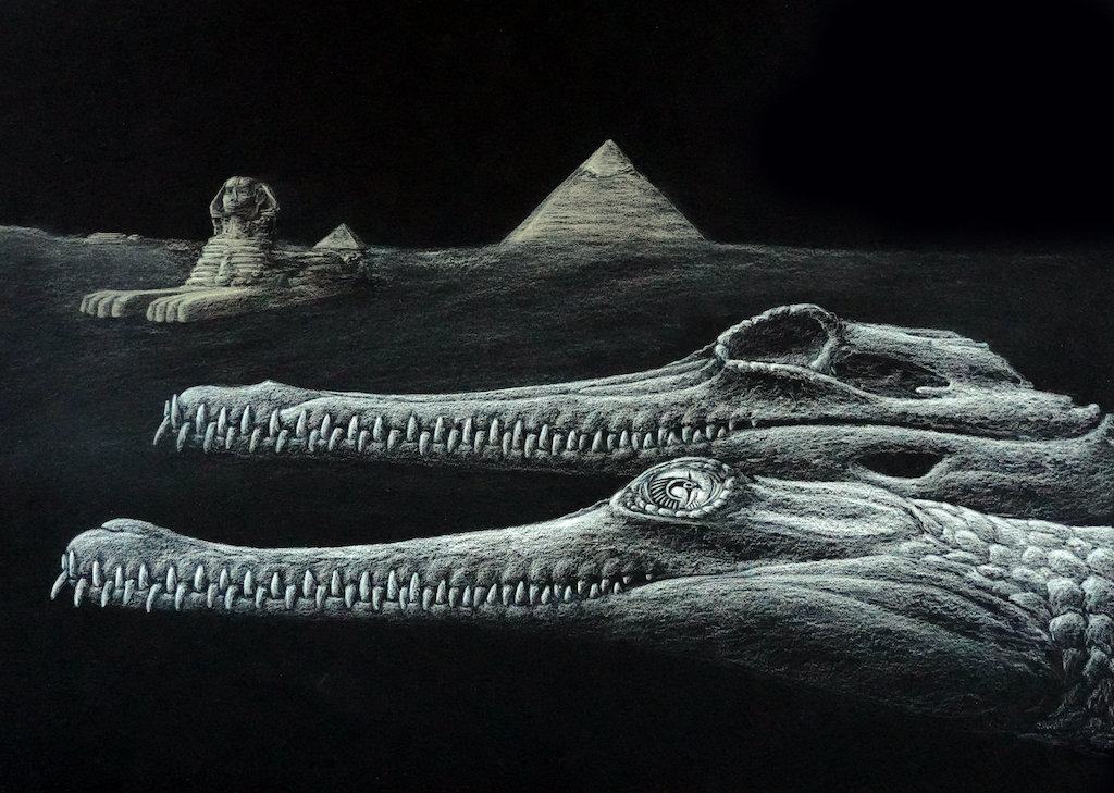 Researchers Identify New Genus of Extinct Crocodile From Egypt Fossils