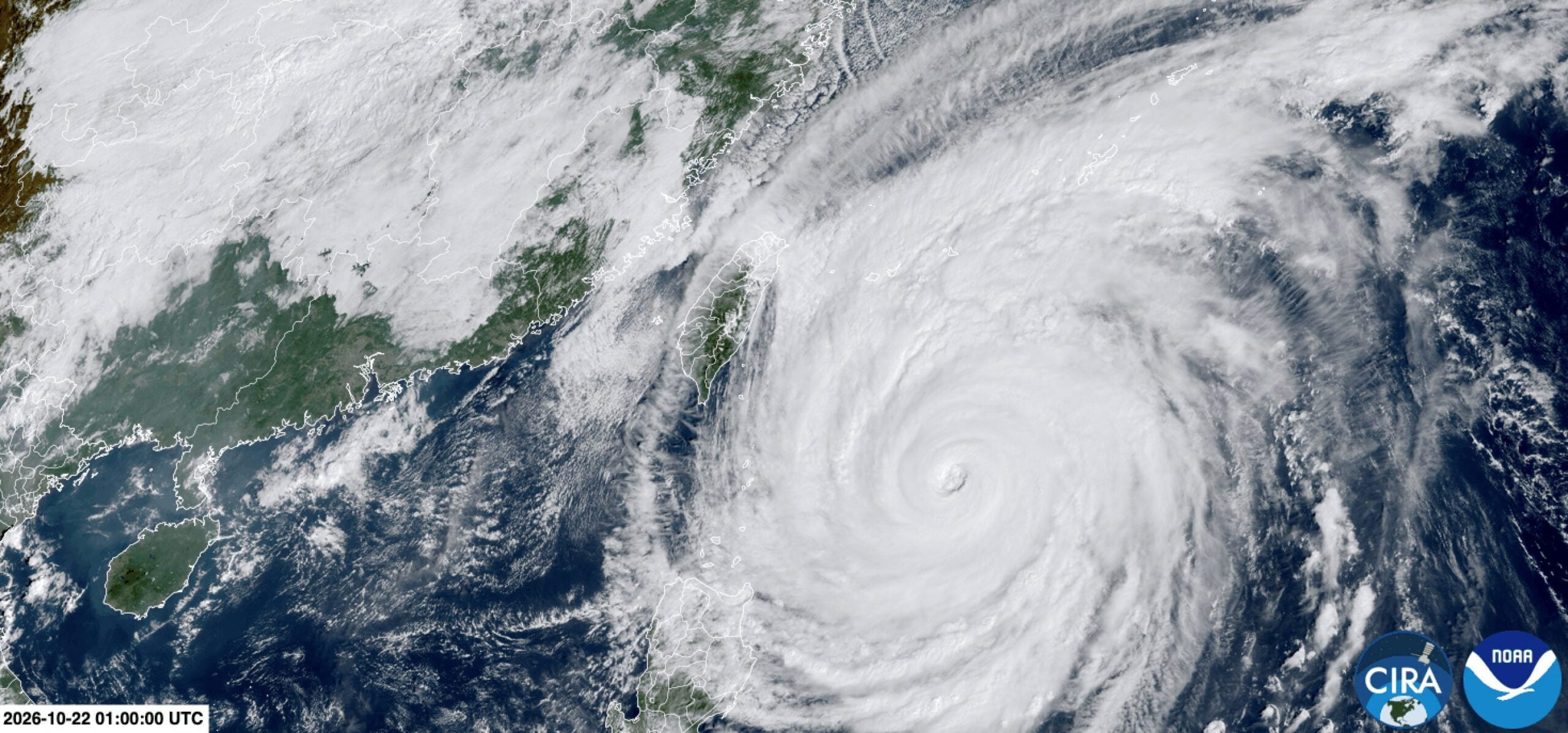 Typhoon Champi Closes Taiwan Markets and Cancels Flights