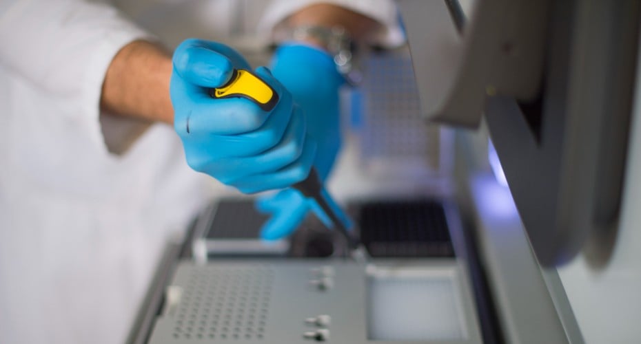 Candida auris Survives Drugs by Copying Its Genome