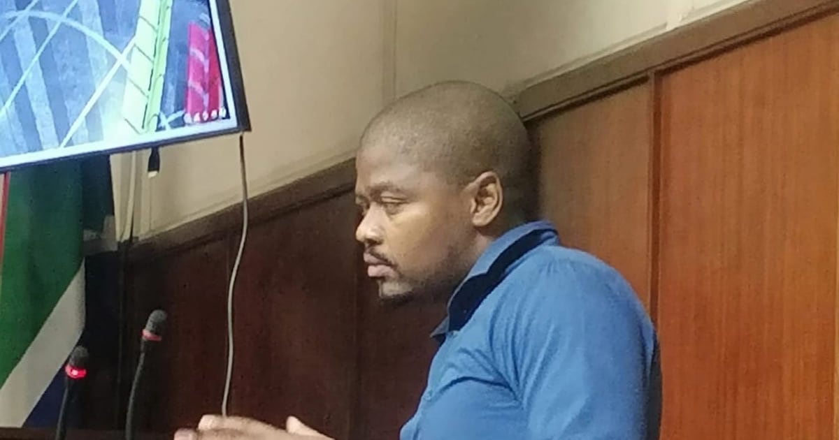 Sandile Khuzwayo, a surveillance analyst from King Shaka International Airport, testifies at the Durban high court in the