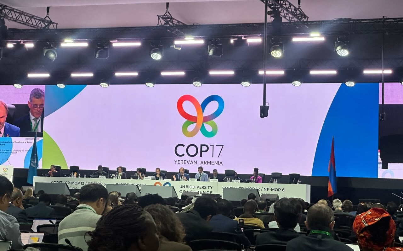 COP17 Delegates Adopt Yerevan Pathway at Biodiversity Summit