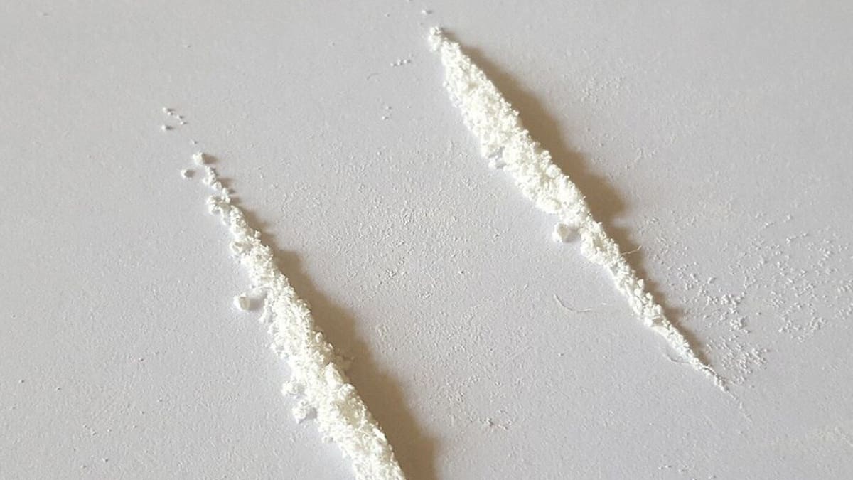Cocaine use in New Zealand workplaces is rising, according to the latest quarterly data. Photo / NZDTS