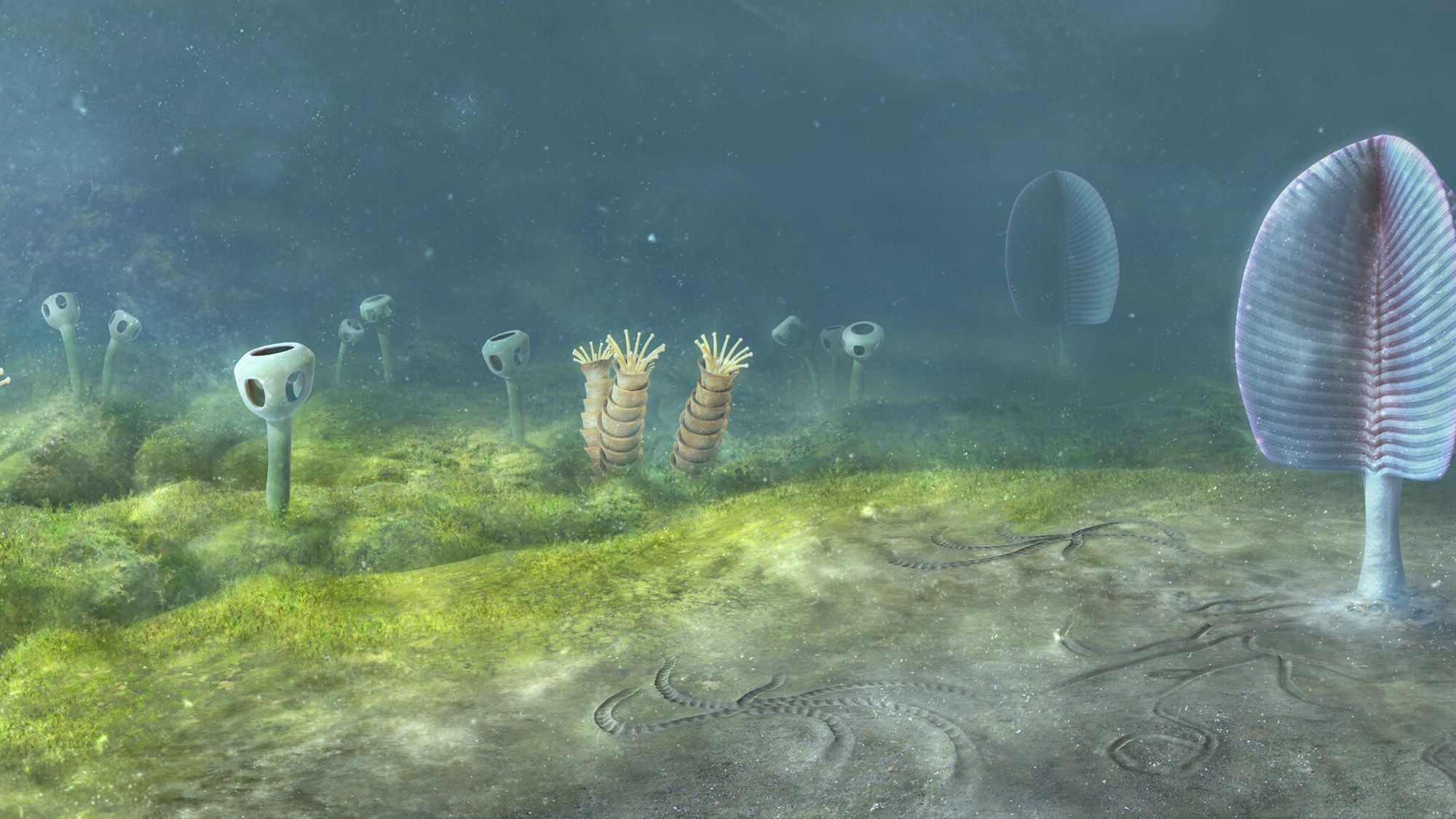 An illustration of an ancient seafloor
