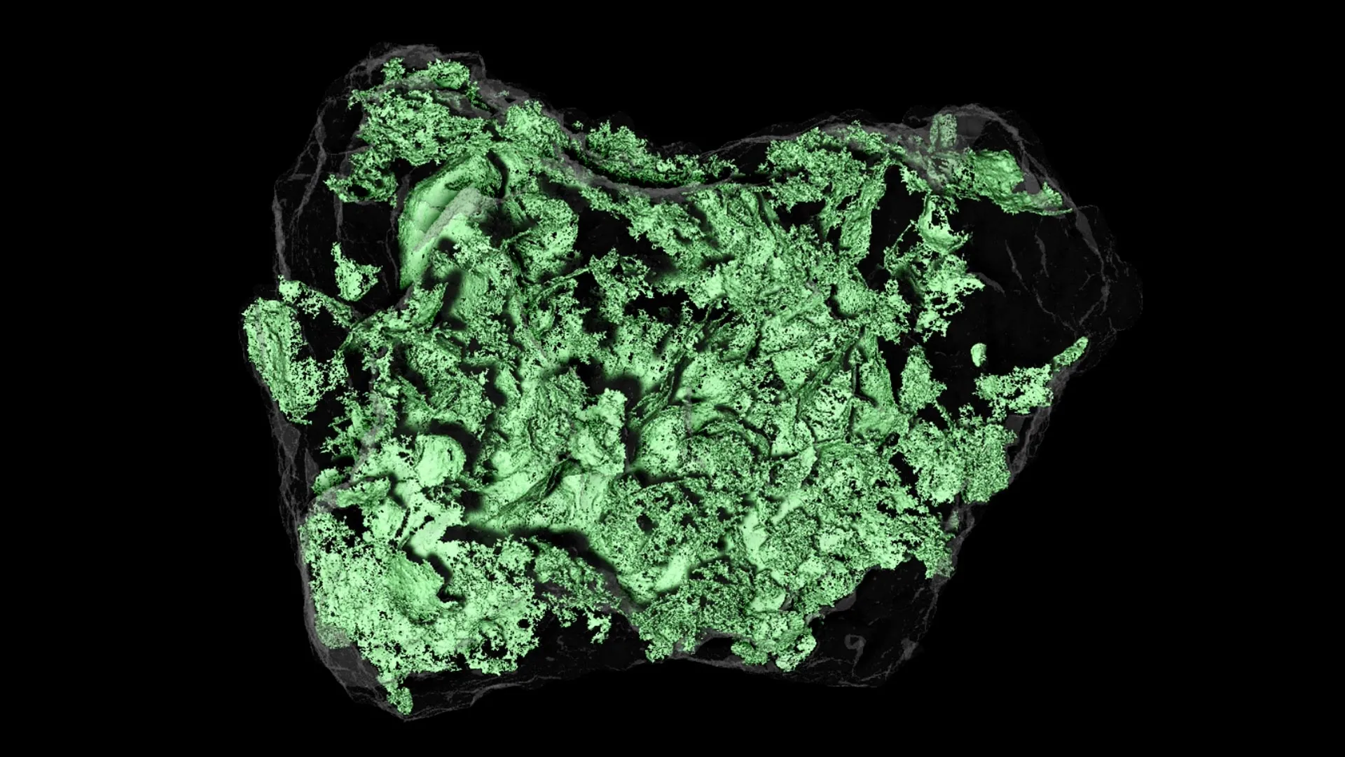 Bennu Sample Analysis Reveals Primordial Secrets of Asteroid