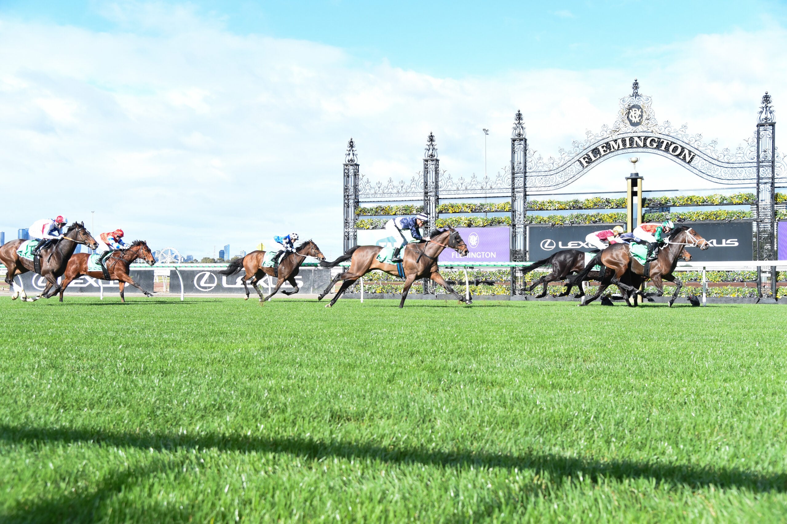 Adrian Bott Dismisses Rain Concerns For Sir Delius Ahead Of Turnbull Stakes