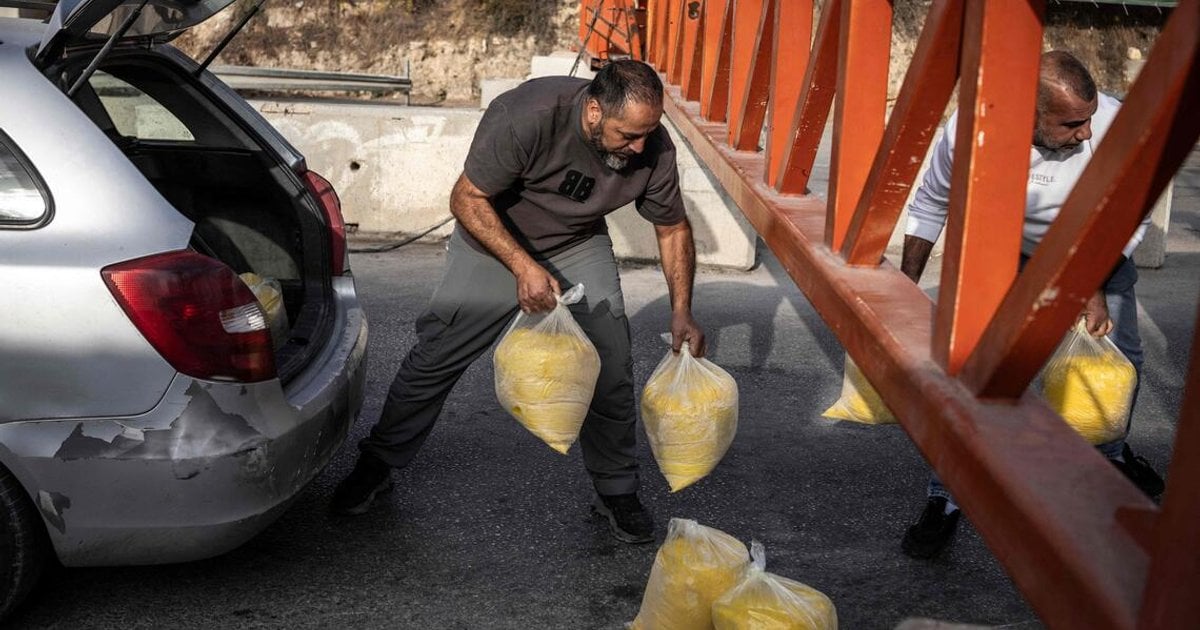 Israeli Forces Displace 1,200 in Hebron