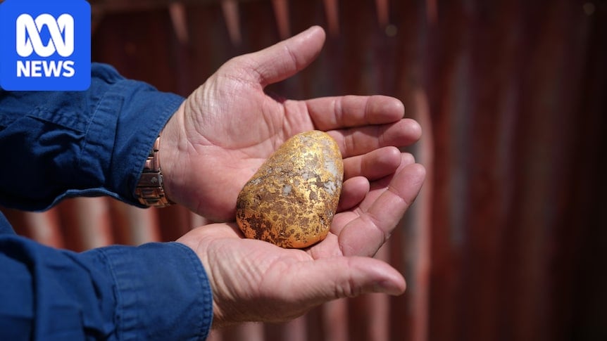 Hands holding the large gold nugget