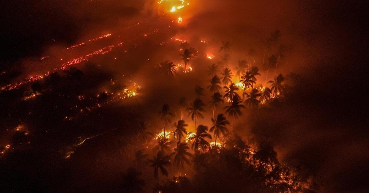 Indonesia Peatland Degradation Fuels Worst Wildfires in 11 Years