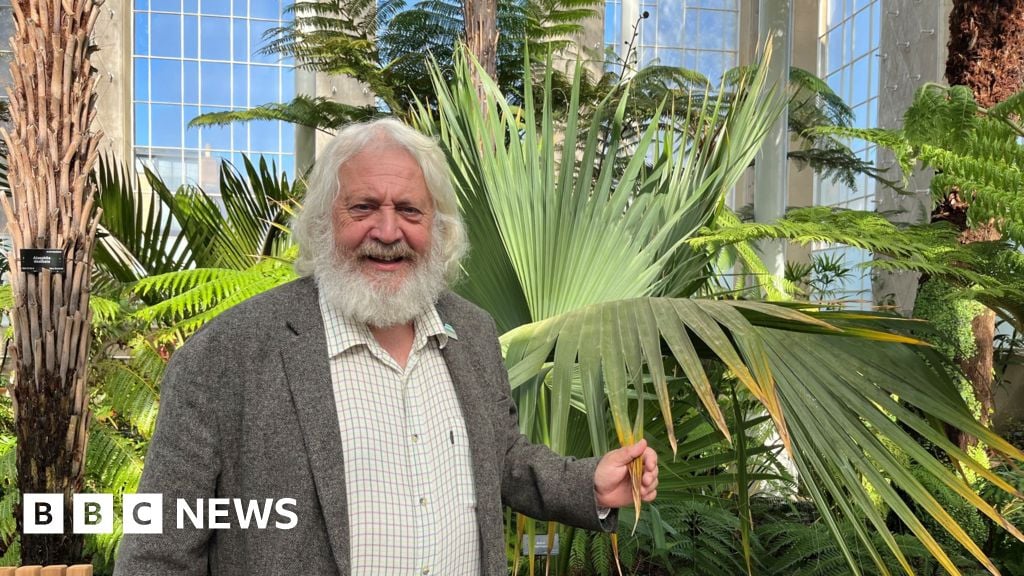 An image of a mature man, with longish white hair and a white beard, smiling as he stands beside a palm tree in side a big