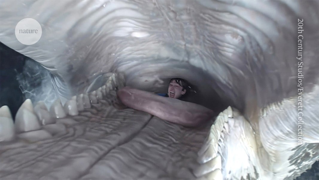 Whalefall Film Uses Marine Biology to Explore Human Survival Science