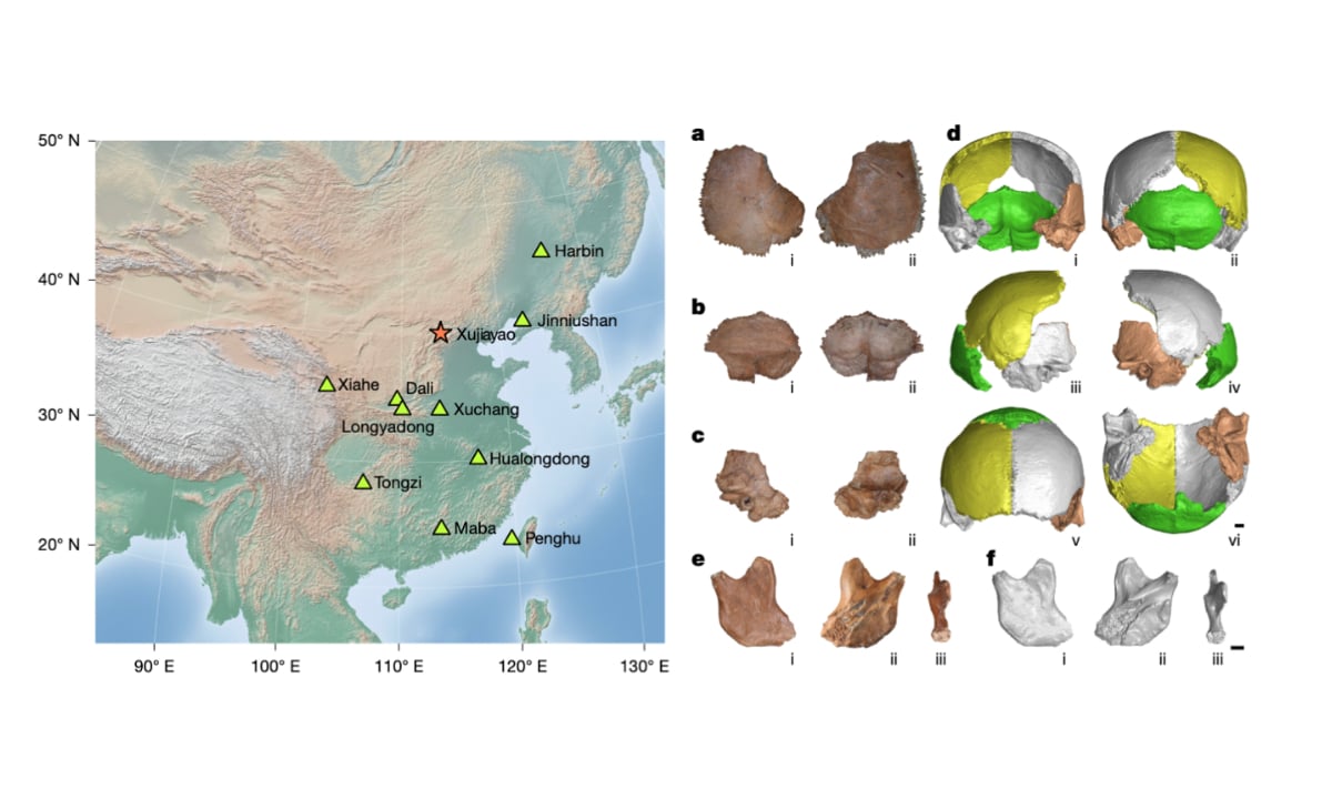 Denisovan Fossils Confirmed at 20 Xujiayao Sites