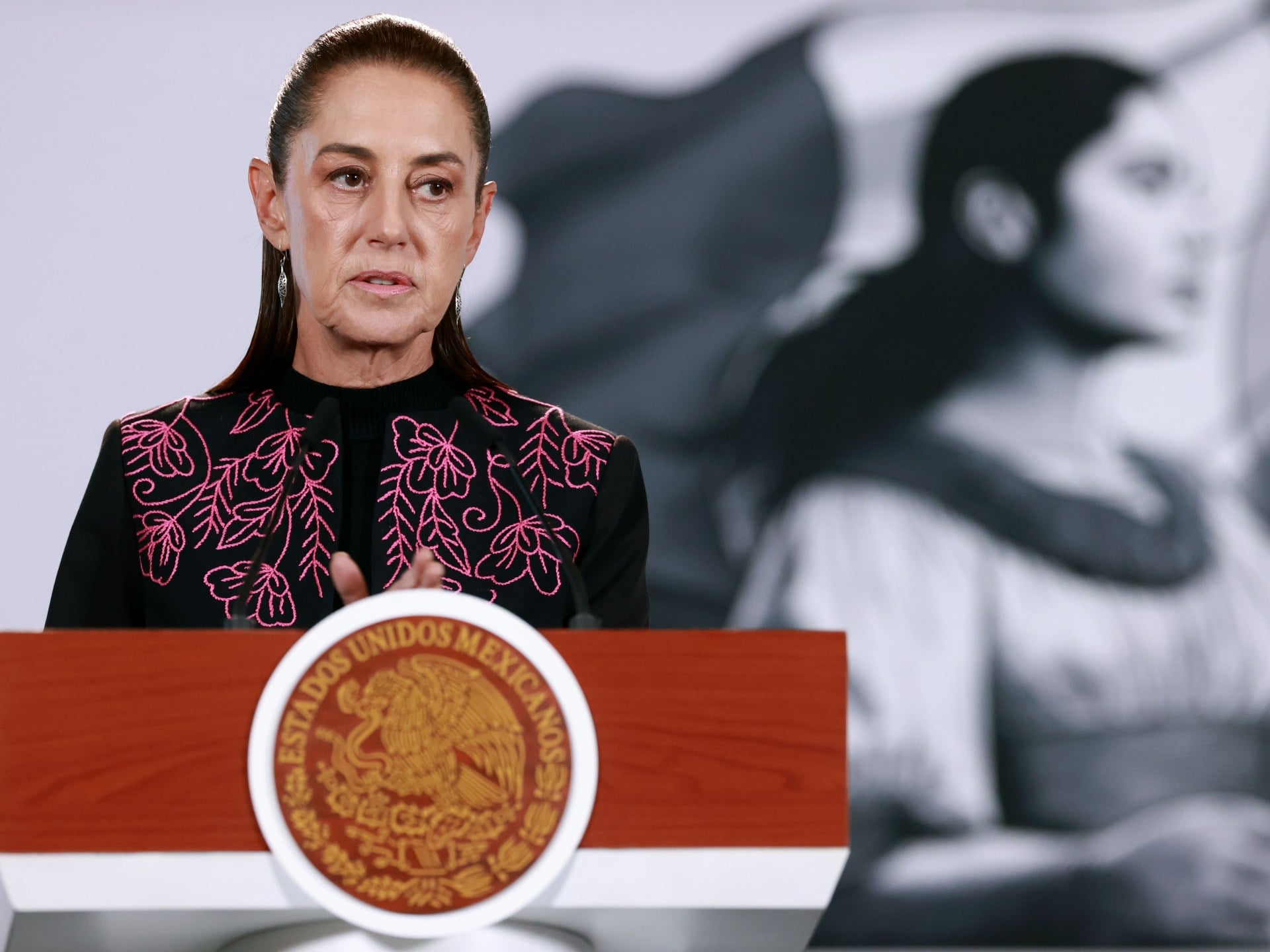 Mexico seeks evidence of border shooting that prompted US troop deployment