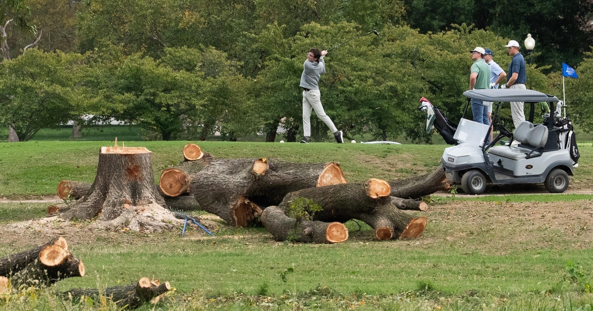 Judge Rebukes Trump Administration Over D.C. Golf Course Tree Removals