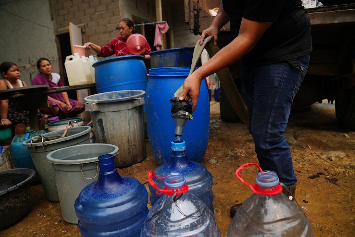 Mighty Earth Blames Land Conversion for Borneo Peatland Water Crisis