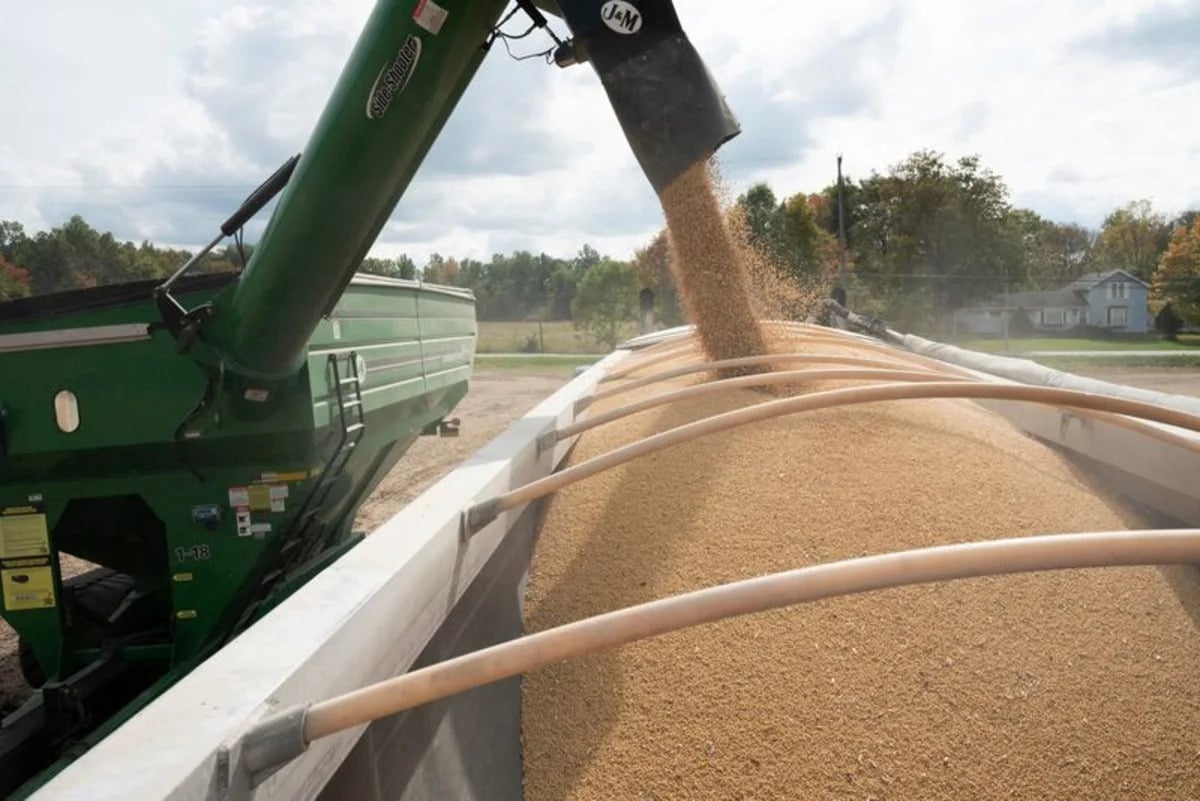 China Resumes US Soybean Imports After Zero Shipments Last September