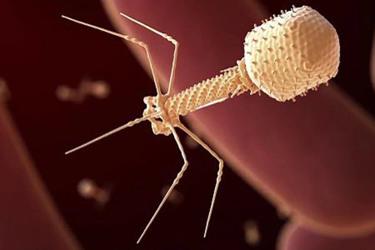 Radical Numerics Injects First AI-Designed Virus Into Human Patient