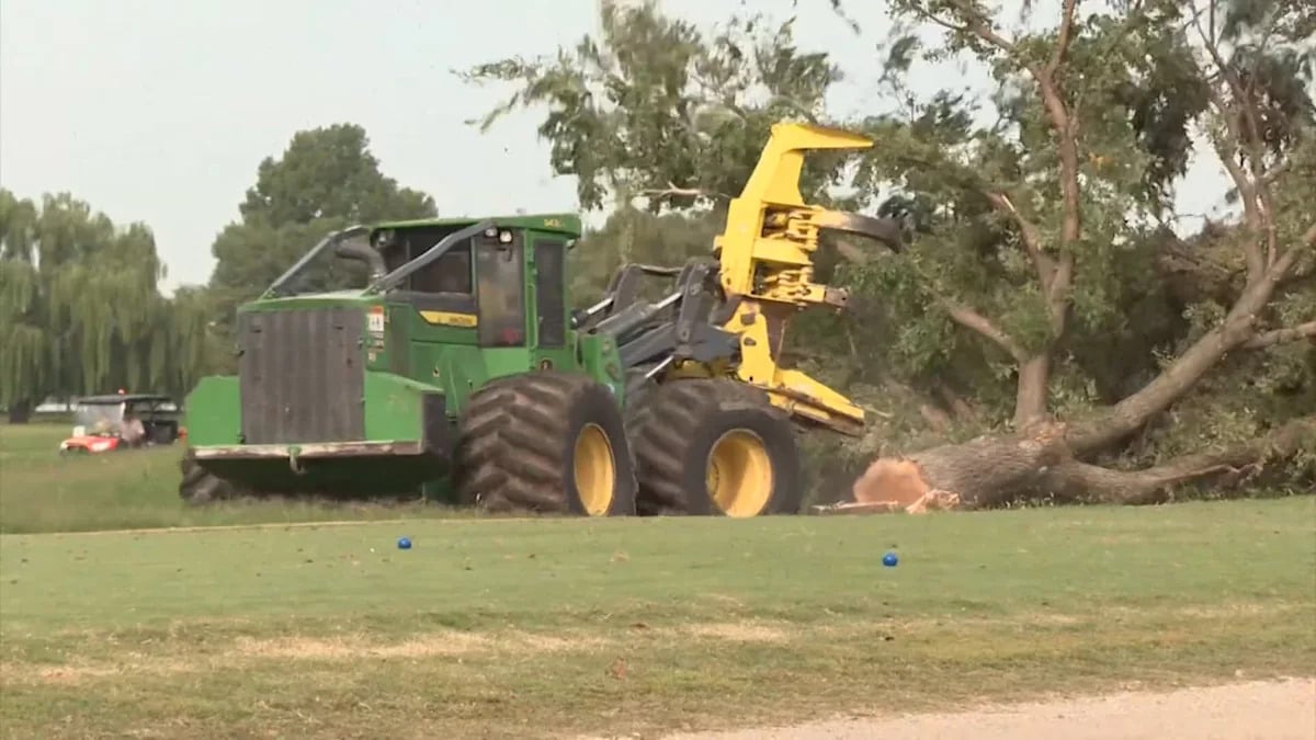 Judge Ana Reyes Blocks Tree Removal at East Potomac Golf Links