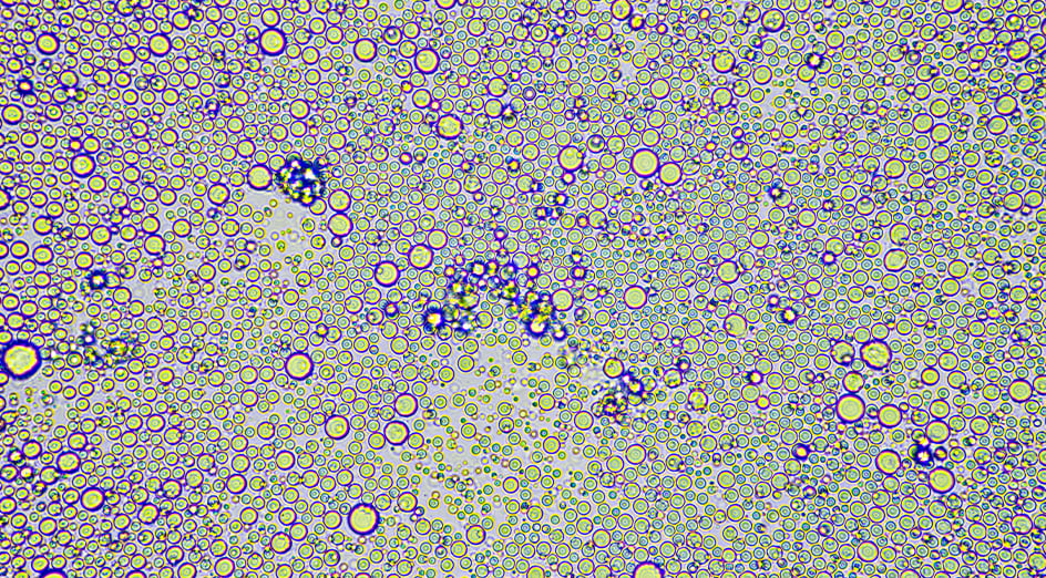 UWA Scientists Map Living Cell Metabolism in Human Breast Milk