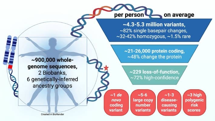 Researchers Characterize Average Human Genome for First Time