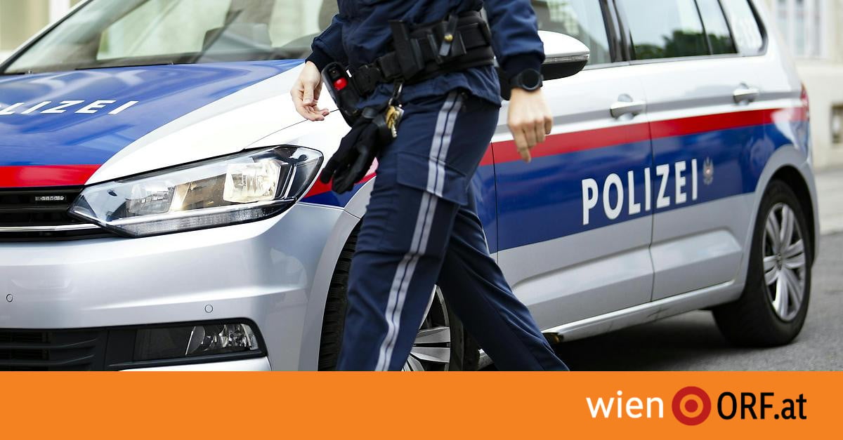 Vienna Police Arrest Man After Partner Found Dead in Stairwell