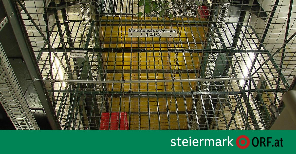 Graz-Karlau Inmate Stabs Correctional Officer in the Neck