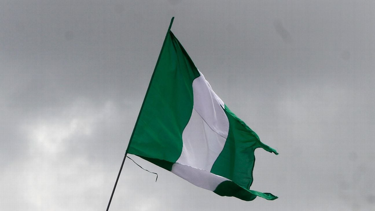 "Nigeria seeks compensation from FIFA over DR Congo goalkeeper's ineligibility&quot