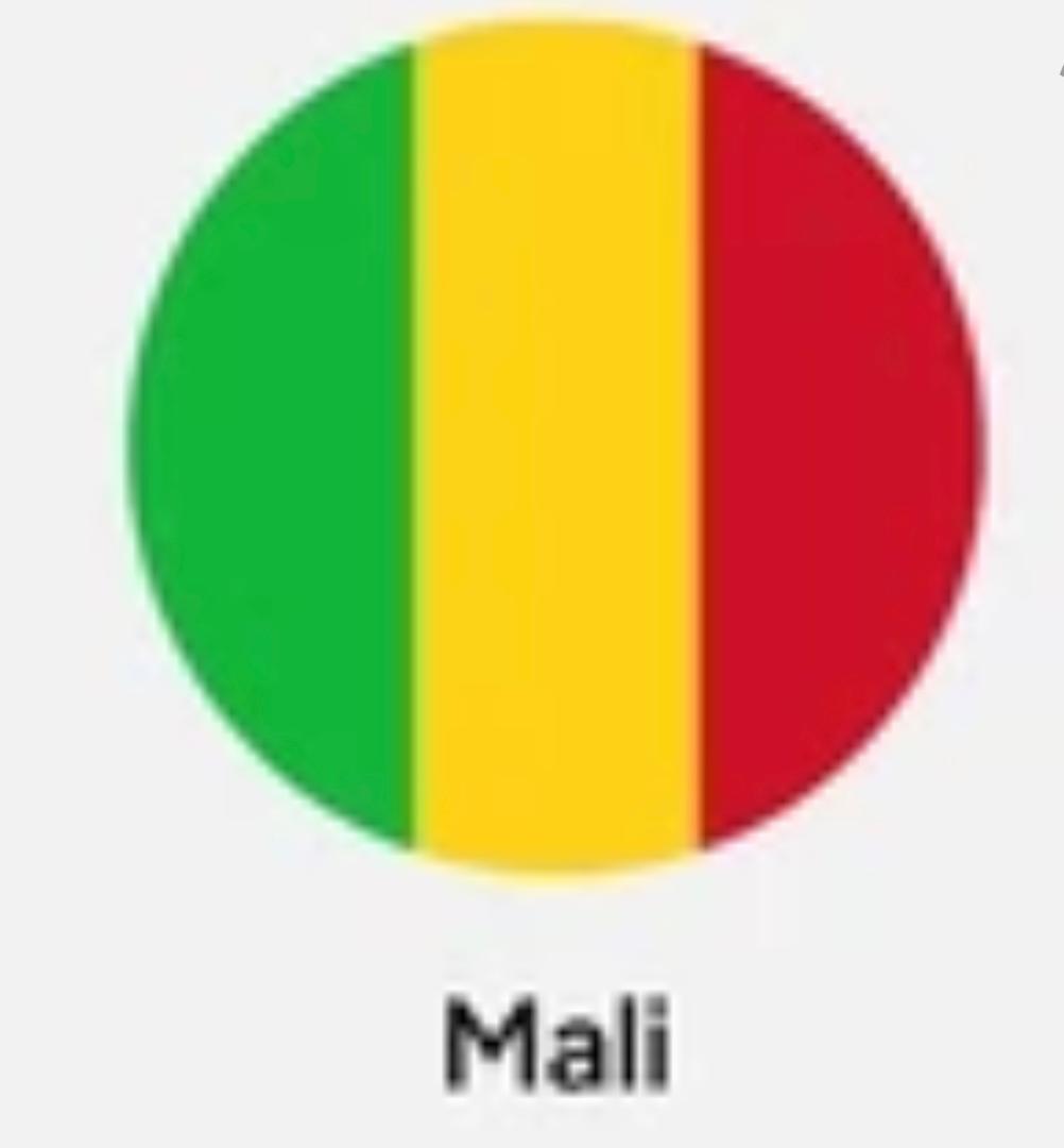 Mali Raises 33 Billion CFA Francs in Regional Debt Sale