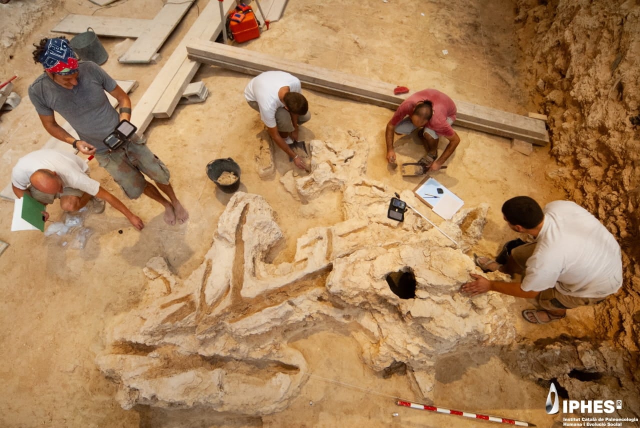 Study Reveals Neanderthals Crafted Advanced Wooden Tools