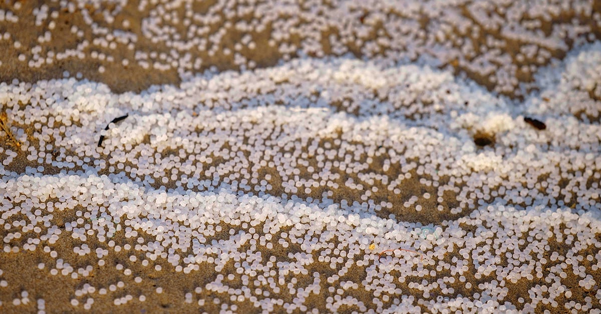 Port of Tyne Plastic Spill Leaves Pellets Trapped in Estuary
