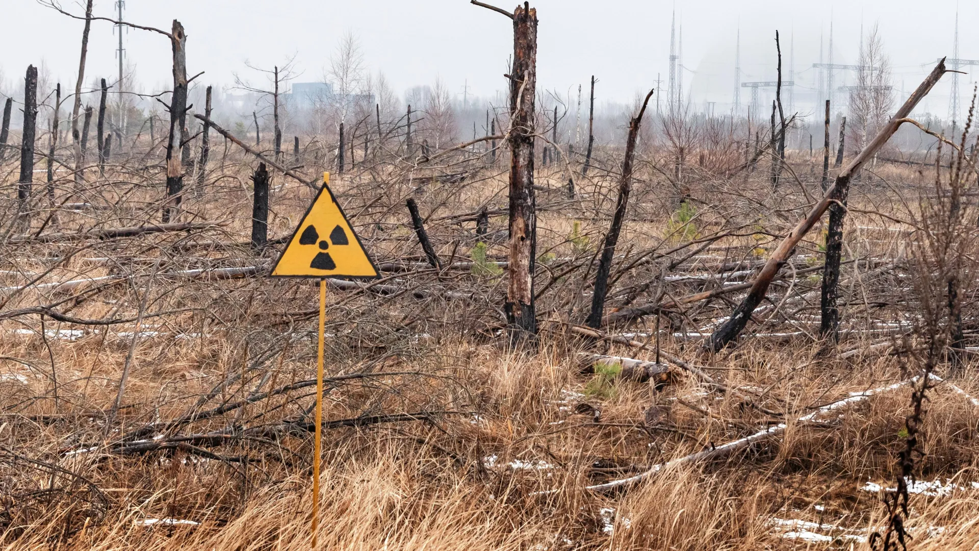 Chernobyl Nuclear Fallout Retains Its Structure