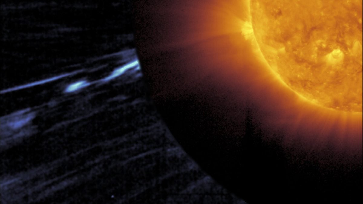 Solar Orbiter Traces Giant Magnetic Switchback Back to Sun