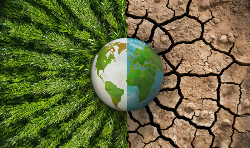 Climate Change Expands Reach of Malaria and Dengue Mosquitoes