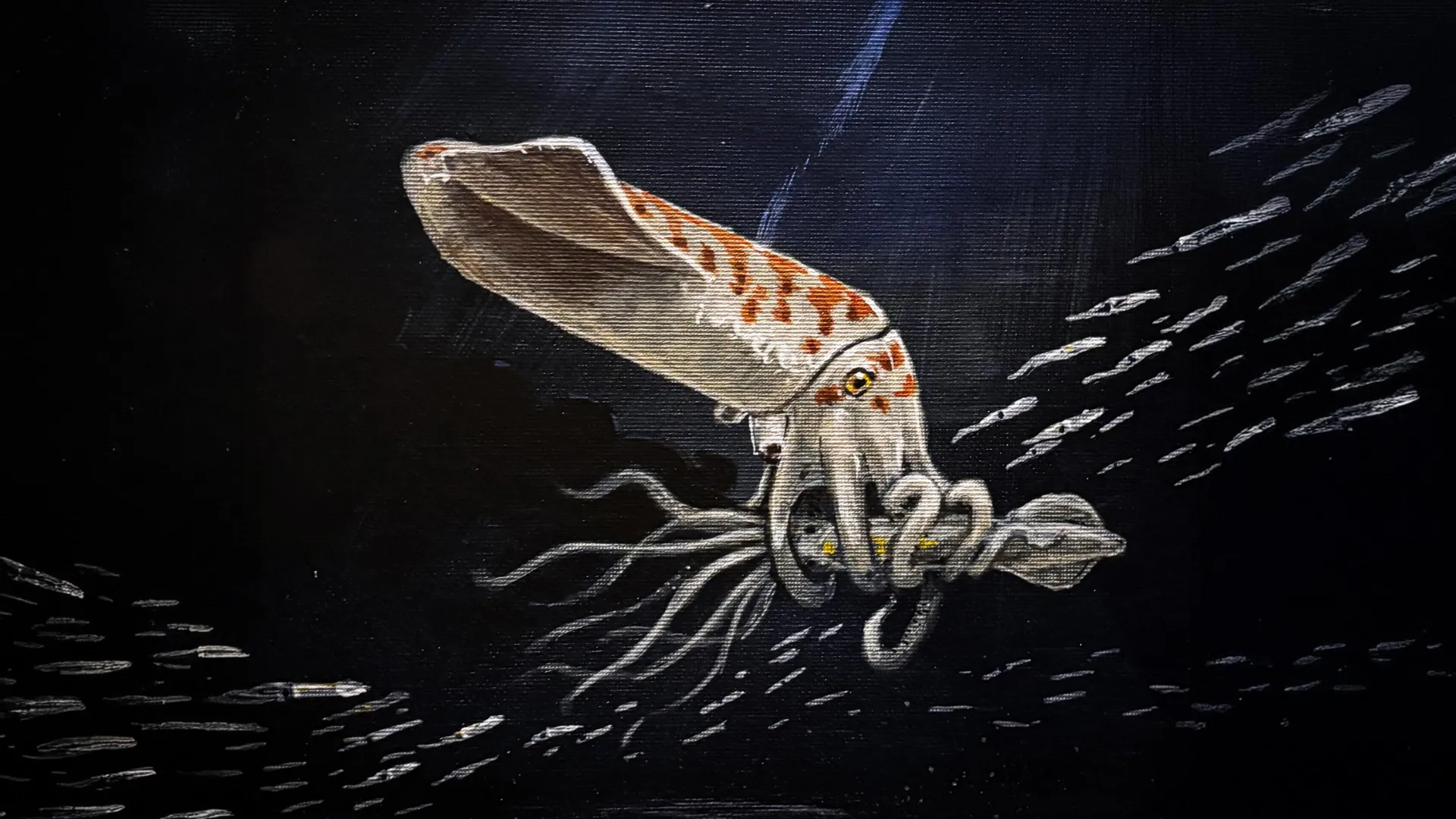 Wyoteuthis linsterorum Revealed As Chunkiest Squid Relative