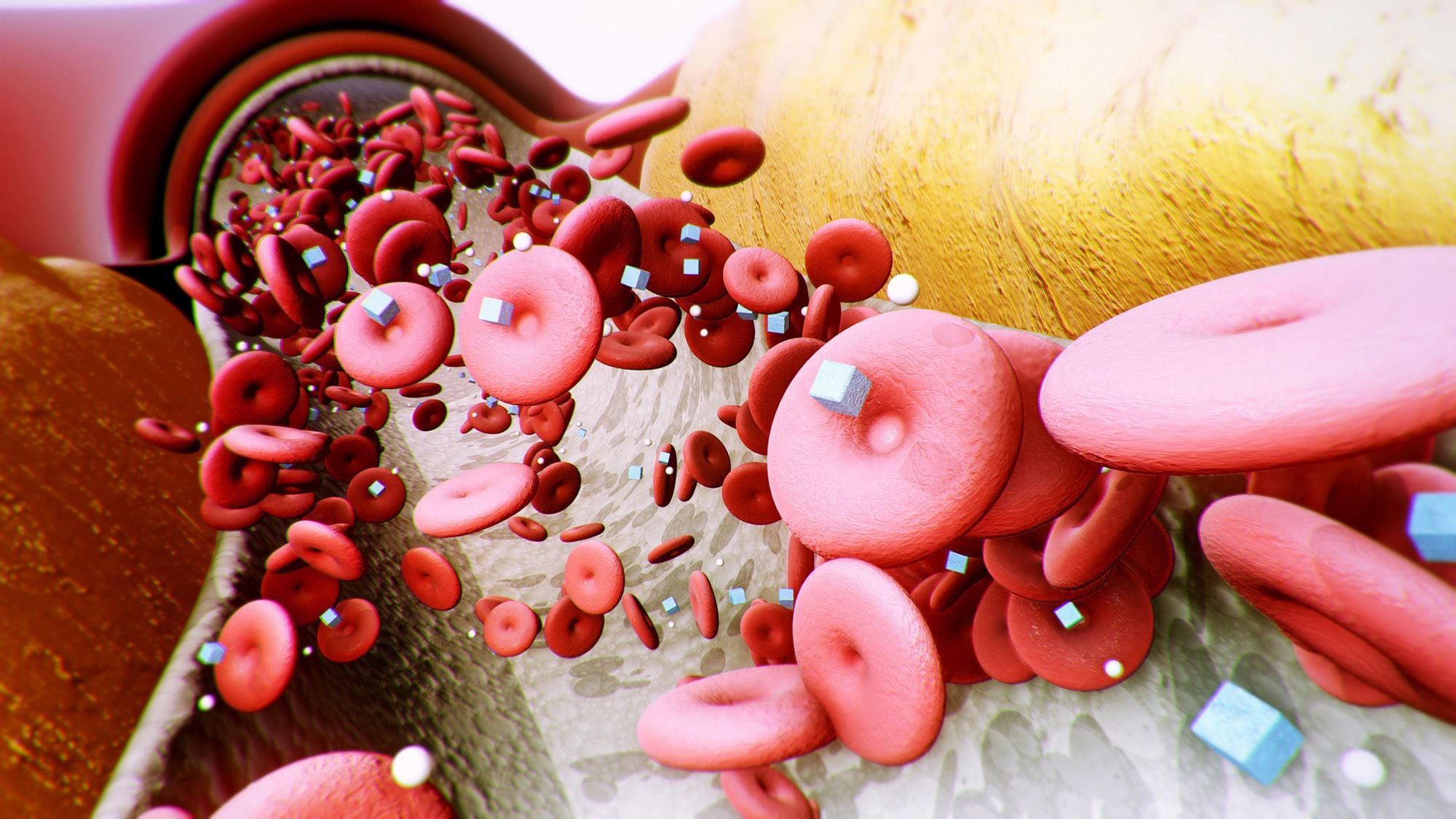 ETH Zurich Experimental Implant Stabilized Glucose Levels in Mice